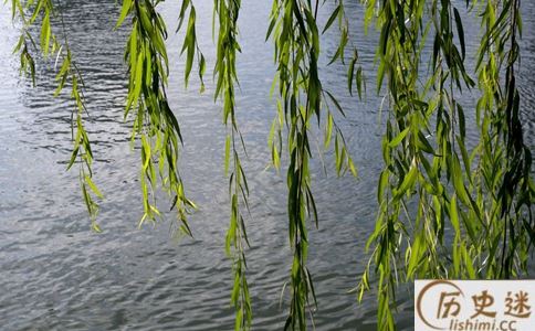 前不栽桑,后不栽柳什么意思