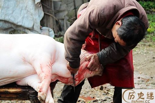 中国人过年为什么一定要杀猪呢