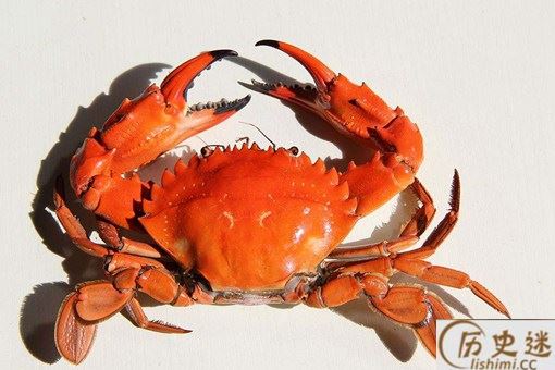 历史上第一个吃螃蟹的人是谁