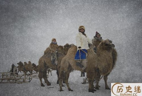 朱元璋和他的儿子们为何争着娶蒙古女子为妃