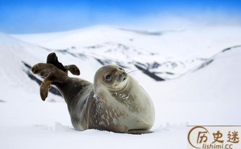南极为何为没有和北极一样成为各国争夺的领地