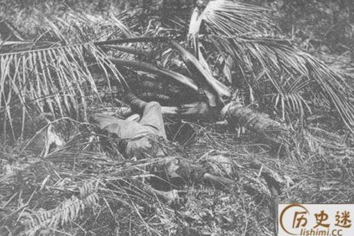 日本狙击手会把自己绑在树上直到战死