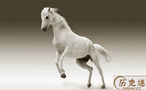 赵云的马叫什么名字