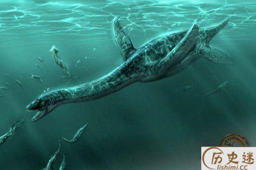 1977日本蛇颈龙是真的吗