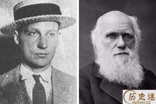 猿猴诉讼案的经过是怎样的