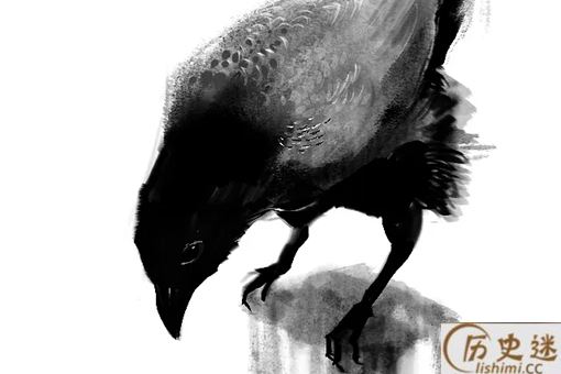 乌鸦在清朝有什么寓意