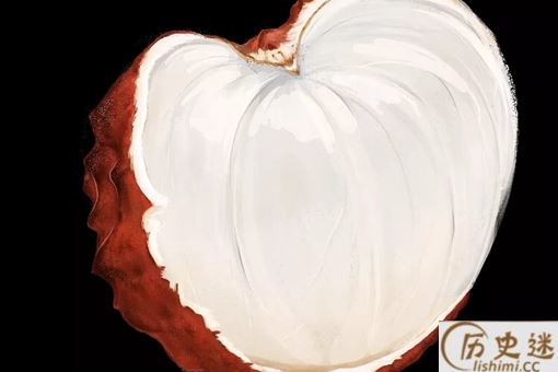 唐朝是怎么给杨贵妃跨省送新鲜荔枝的