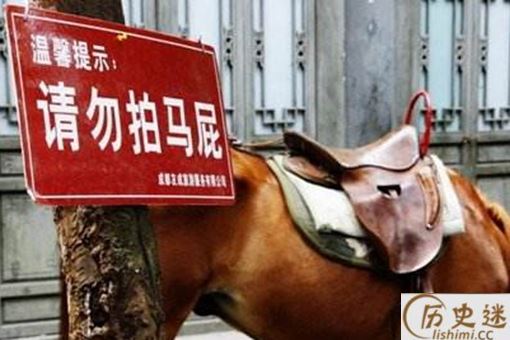 拍马屁一词的由来是怎样的