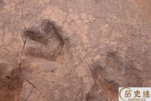 四川发现巨大恐龙足迹是怎么回事