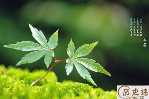 五辛盘有哪些蔬菜