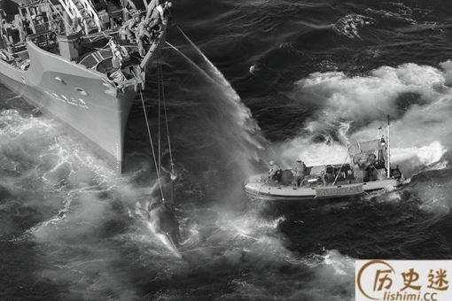 日本为什么爱捕鲸