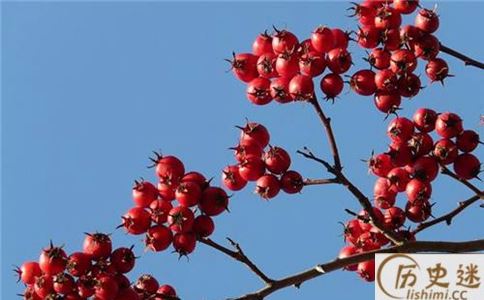 南宋时期宋光宗的黄贵妃得了什么病