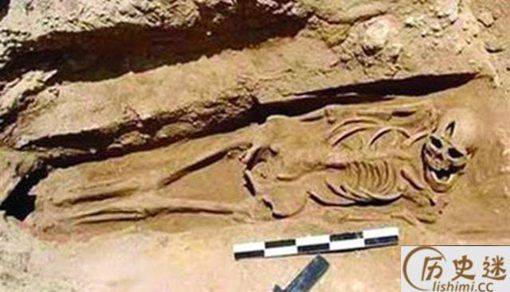 曹操墓中为什么会有女性尸骨