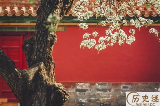 故宫宫墙矮了90厘米怎么回事