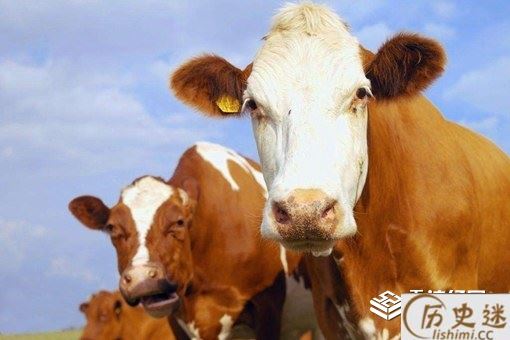 说大话为什么叫吹牛