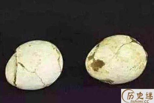 考古者为什么害怕发现鸡蛋