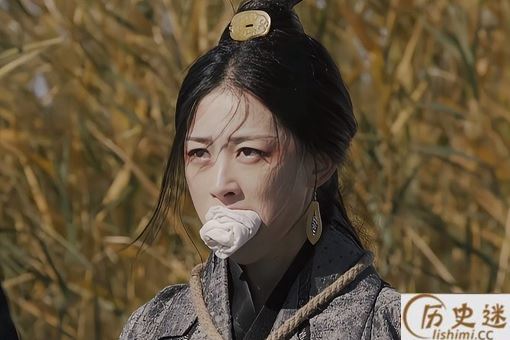 作为太后的赵姬为何会为嫪毐生下孩子