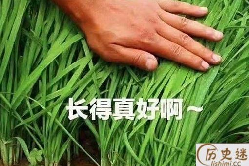 韭零后是什么意思