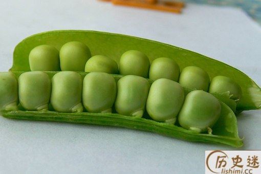 中国为什么叫豌豆为荷兰豆
