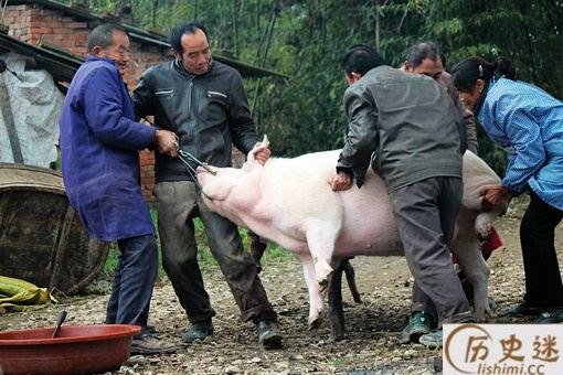 中国人过年为什么一定要杀猪呢