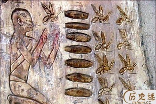 古代人的假牙使用什么做的