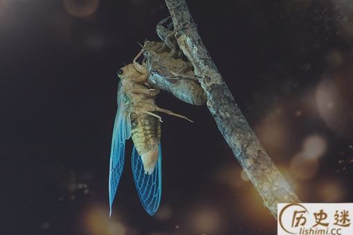 唐僧是什么转世