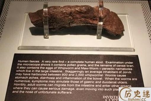 维京人的大痔疮是怎么一回事