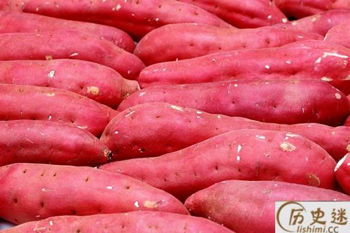 红薯为什么不能主粮化