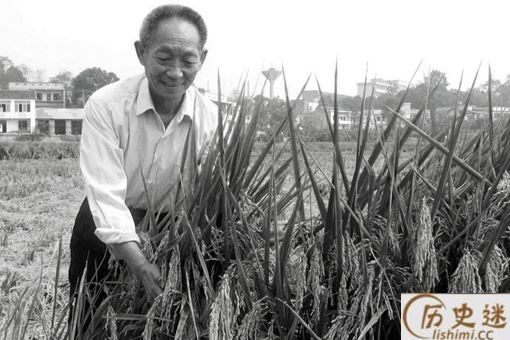 盘点那些经典缅怀袁隆平的诗词