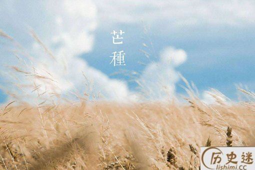 芒种是什么意思