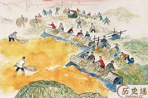 为什么一定要分清五谷