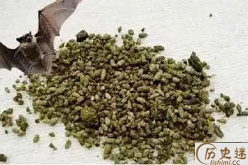 什么动物粪便可以入药