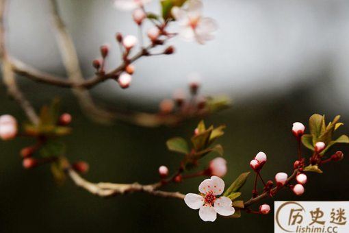《蝶恋花·春景》全文赏析