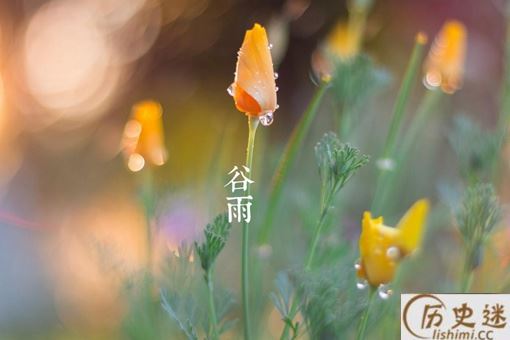描写谷雨的古诗有哪些？