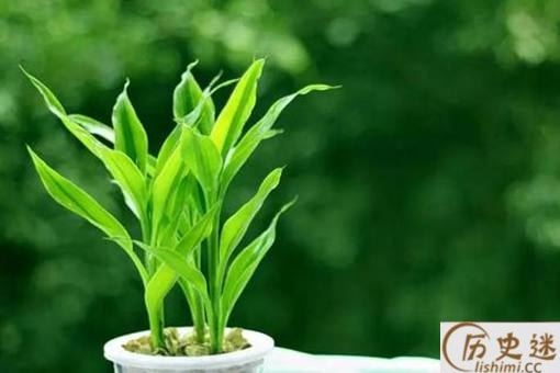 家里聚财风水上有什么方法