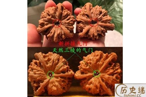 真三棱核桃的气门是怎么样的