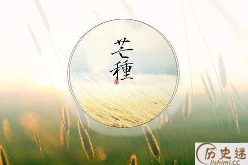芒种是什么意思