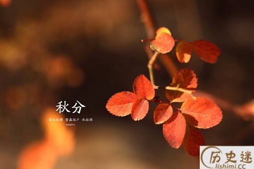 秋分是什么意思