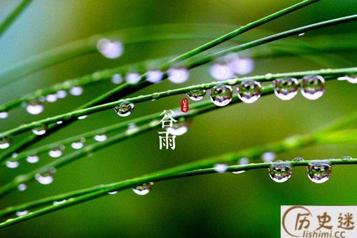 谷雨是什么意思有什么习俗