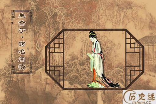 《生查子·药名闺情》作品赏析