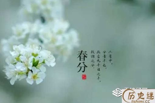 关于春分的优美句子