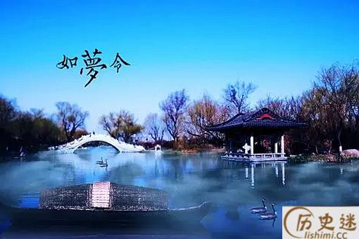 李清照的惊起一滩鸥鹭中的鸥鹭是什么动物