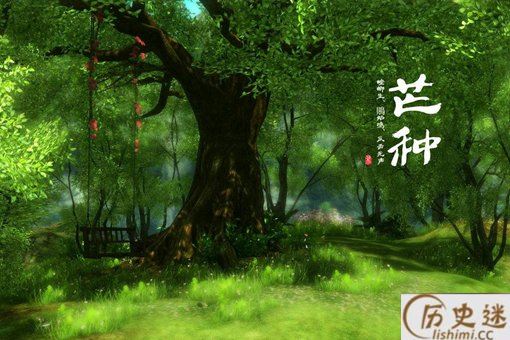 芒种是什么意思
