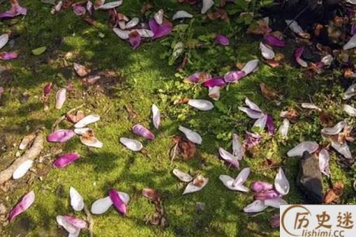 《残花·一作罗隐诗》全文及赏析