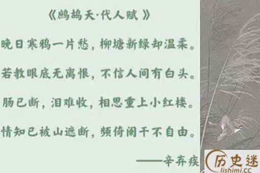 辛弃疾的两首《鹧鸪天·代人赋》分别有什么含义