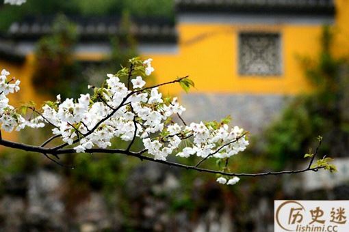 南京鸡鸣寺为什么出名？