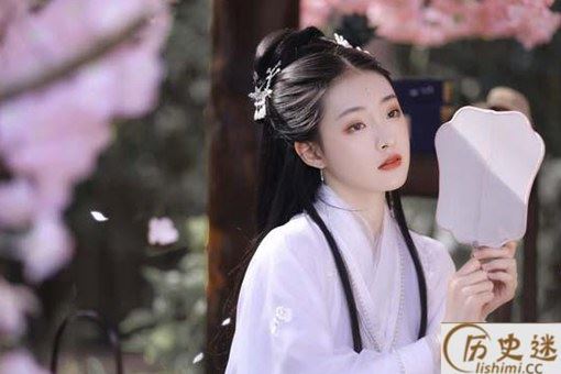 《戏赠张先》原文解析