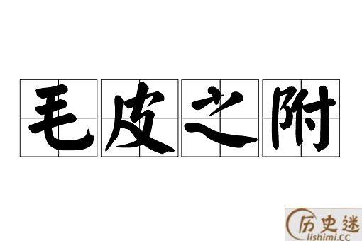 成语毛皮之附是什么意思