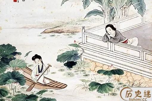 李清照的惊起一滩鸥鹭中的鸥鹭是什么动物