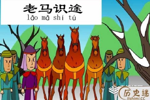老马识途告诉我们什么道理